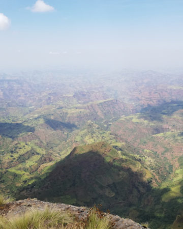 Simien